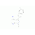 anti-HYAL1 antibody (Hyaluronidase-1) (N-Term)