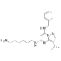 anti-HYAL1 antibody (Hyaluronidase-1) (N-Term)