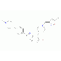 anti-HYAL1 antibody (Hyaluronidase-1) (N-Term)