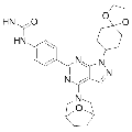anti-HYAL1 antibody (Hyaluronidase-1) (N-Term)