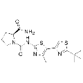 anti-HYAL1 antibody (Hyaluronidase-1) (N-Term)