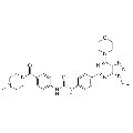anti-HYAL1 antibody (Hyaluronidase-1) (N-Term)