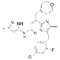 anti-HYAL1 antibody (Hyaluronidase-1) (N-Term)
