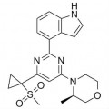 anti-HYAL1 antibody (Hyaluronidase-1) (N-Term)