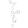 anti-HYAL1 antibody (Hyaluronidase-1) (N-Term)