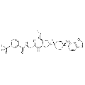 anti-HYAL1 antibody (Hyaluronidase-1) (N-Term)