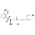 anti-HYAL1 antibody (Hyaluronidase-1) (N-Term)