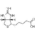 anti-HYAL1 antibody (Hyaluronidase-1) (N-Term)