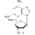 anti-HYAL1 antibody (Hyaluronidase-1) (N-Term)