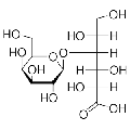 anti-HYAL1 antibody (Hyaluronidase-1) (N-Term)