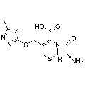 anti-HYAL1 antibody (Hyaluronidase-1) (N-Term)