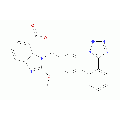 anti-HYAL1 antibody (Hyaluronidase-1) (N-Term)