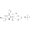 anti-HYAL1 antibody (Hyaluronidase-1) (N-Term)