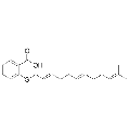 anti-HYAL1 antibody (Hyaluronidase-1) (N-Term)