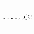 anti-HYAL1 antibody (Hyaluronidase-1) (N-Term)