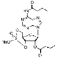 anti-HYAL1 antibody (Hyaluronidase-1) (N-Term)