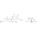 anti-HYAL1 antibody (Hyaluronidase-1) (N-Term)