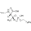 anti-HYAL1 antibody (Hyaluronidase-1) (N-Term)