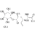 anti-HYAL1 antibody (Hyaluronidase-1) (N-Term)
