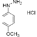 anti-HYAL1 antibody (Hyaluronidase-1) (N-Term)
