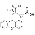anti-HYAL1 antibody (Hyaluronidase-1) (N-Term)