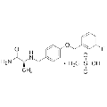 anti-HYAL1 antibody (Hyaluronidase-1) (N-Term)
