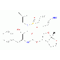 anti-HYAL1 antibody (Hyaluronidase-1) (N-Term)