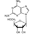 anti-HYAL1 antibody (Hyaluronidase-1) (N-Term)