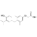 anti-HYAL1 antibody (Hyaluronidase-1) (N-Term)