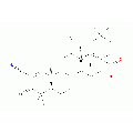 anti-HYAL1 antibody (Hyaluronidase-1) (N-Term)