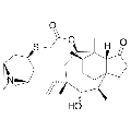 anti-HYAL1 antibody (Hyaluronidase-1) (N-Term)