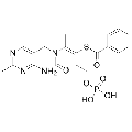 anti-HYAL1 antibody (Hyaluronidase-1) (N-Term)