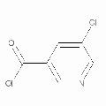 anti-HYAL1 antibody (Hyaluronidase-1) (N-Term)