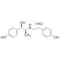 anti-HYAL1 antibody (Hyaluronidase-1) (N-Term)