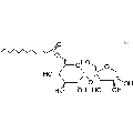 anti-HYAL1 antibody (Hyaluronidase-1) (N-Term)