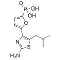 anti-HYAL1 antibody (Hyaluronidase-1) (N-Term)