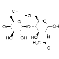 anti-HYAL1 antibody (Hyaluronidase-1) (N-Term)