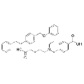 anti-HYAL1 antibody (Hyaluronidase-1) (N-Term)