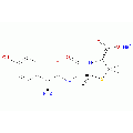 anti-HYAL1 antibody (Hyaluronidase-1) (N-Term)