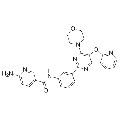 anti-HYAL1 antibody (Hyaluronidase-1) (N-Term)