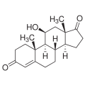 anti-HYAL1 antibody (Hyaluronidase-1) (N-Term)