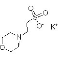 anti-HYAL1 antibody (Hyaluronidase-1) (N-Term)