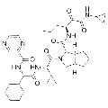 anti-HYAL1 antibody (Hyaluronidase-1) (N-Term)