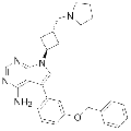 anti-HYAL1 antibody (Hyaluronidase-1) (N-Term)