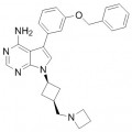 anti-HYAL1 antibody (Hyaluronidase-1) (N-Term)