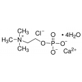 anti-HYAL1 antibody (Hyaluronidase-1) (N-Term)