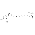 anti-HYAL1 antibody (Hyaluronidase-1) (N-Term)
