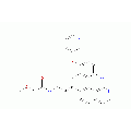 anti-HYAL1 antibody (Hyaluronidase-1) (N-Term)