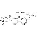 anti-HYAL1 antibody (Hyaluronidase-1) (N-Term)