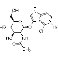 anti-HYAL1 antibody (Hyaluronidase-1) (N-Term)